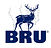 Primary-BRU-logo-2019-RGB-72dpi-1.jpg